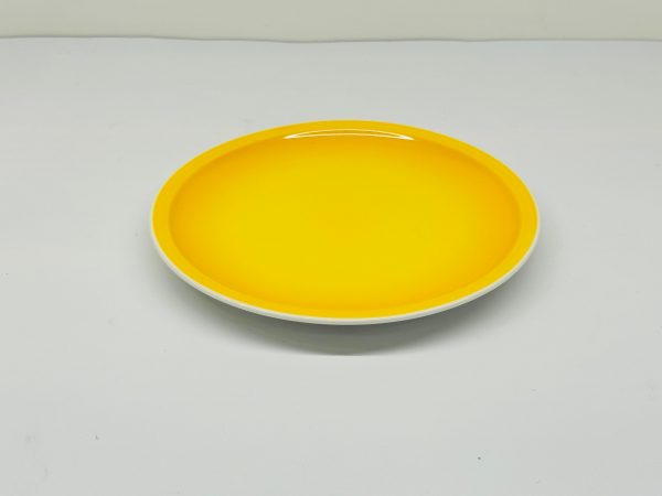 Gradient Ceramic Dinner Plate - Image 4